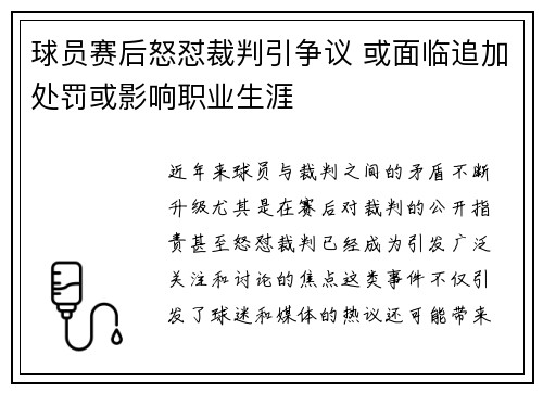 球员赛后怒怼裁判引争议 或面临追加处罚或影响职业生涯