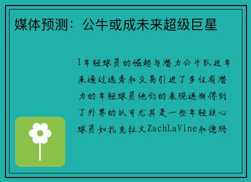 媒体预测：公牛或成未来超级巨星