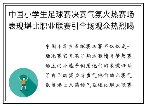 中国小学生足球赛决赛气氛火热赛场表现堪比职业联赛引全场观众热烈喝彩